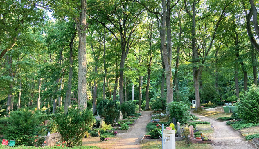 Blick über die Gräber auf dem Waldfriedhof Bad Homburg