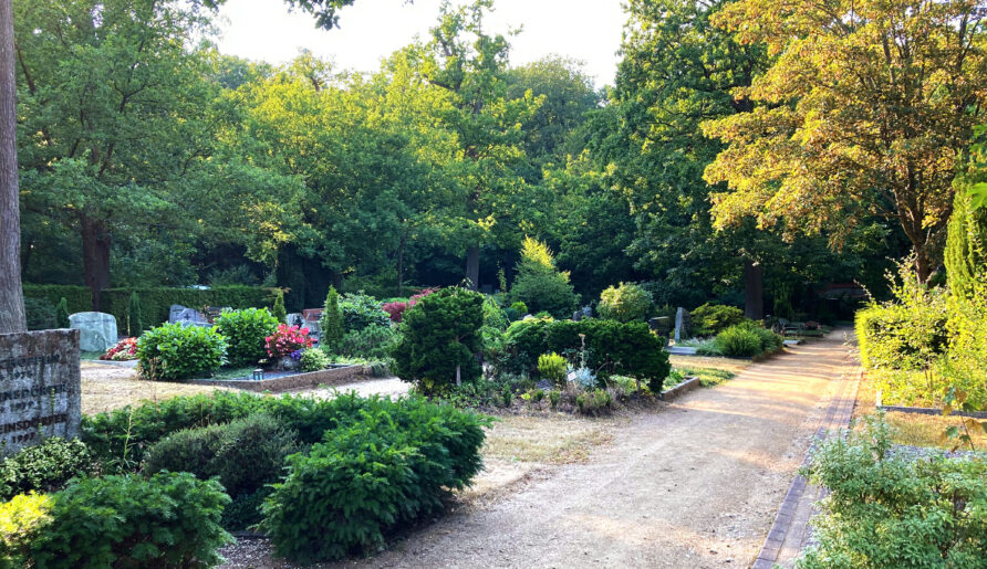 Erdwahlgräber auf dem hinteren Teil des Waldfriedhofs Bad Homburg