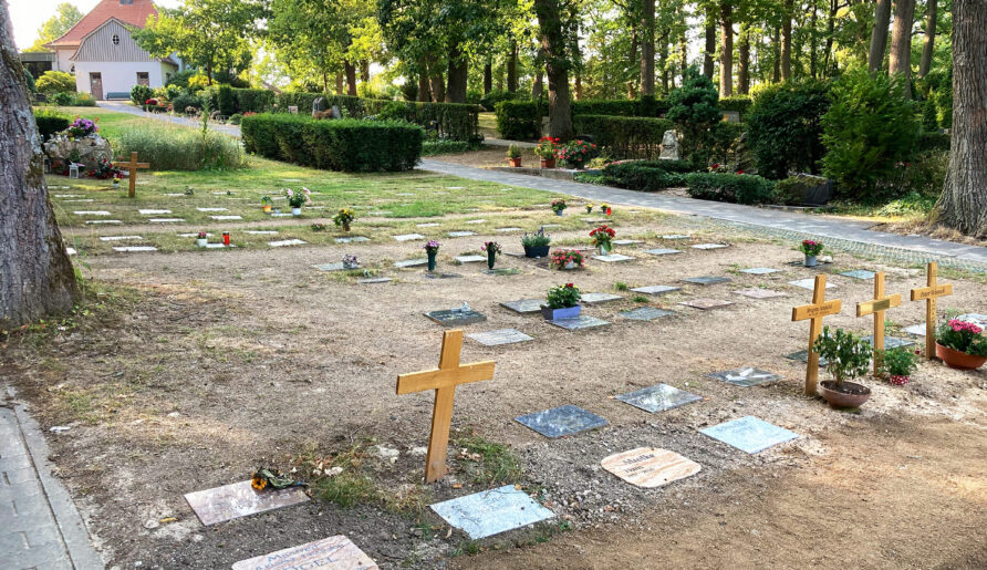 Urnenwiesengräber auf dem Waldfriedhof Bad Homburg